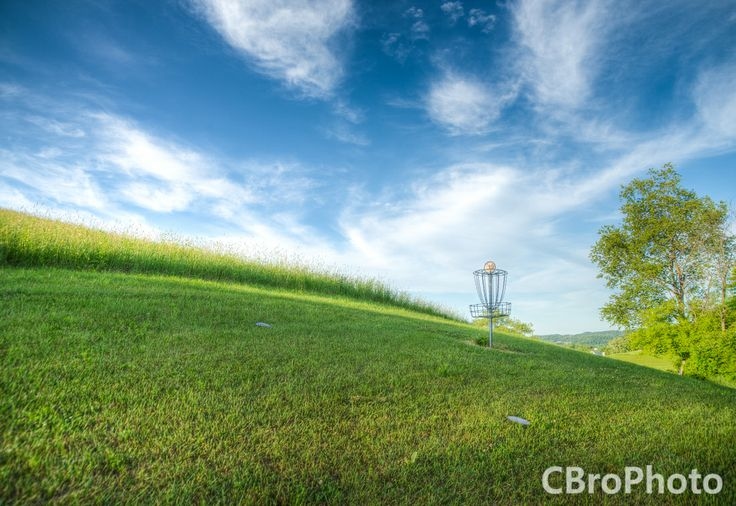 Green grass, blue skies, and a disc golf basket