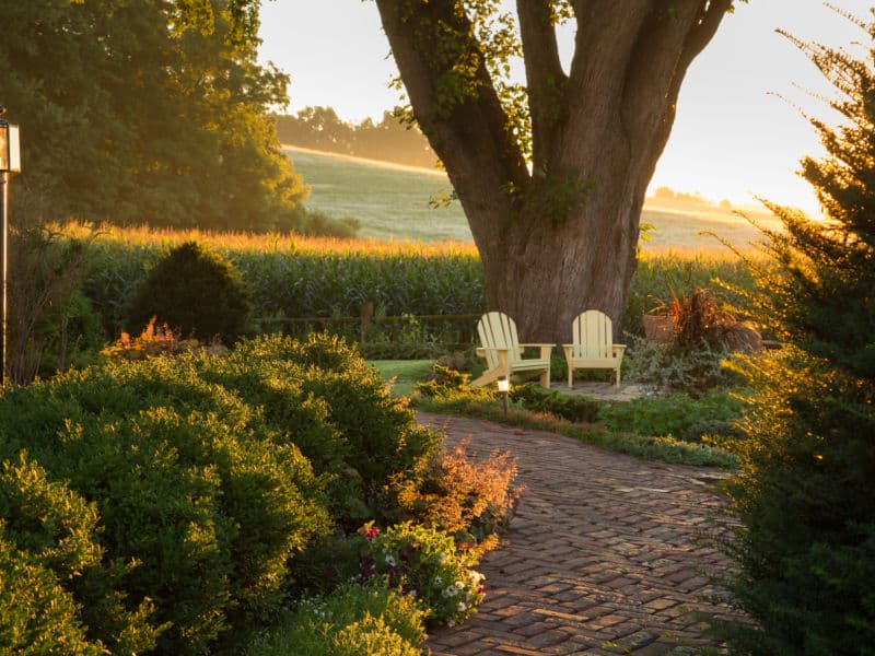 Two chairs sit at the base of a 150 year old Silver maple tree, while a brick path leads to the Garden Suite.