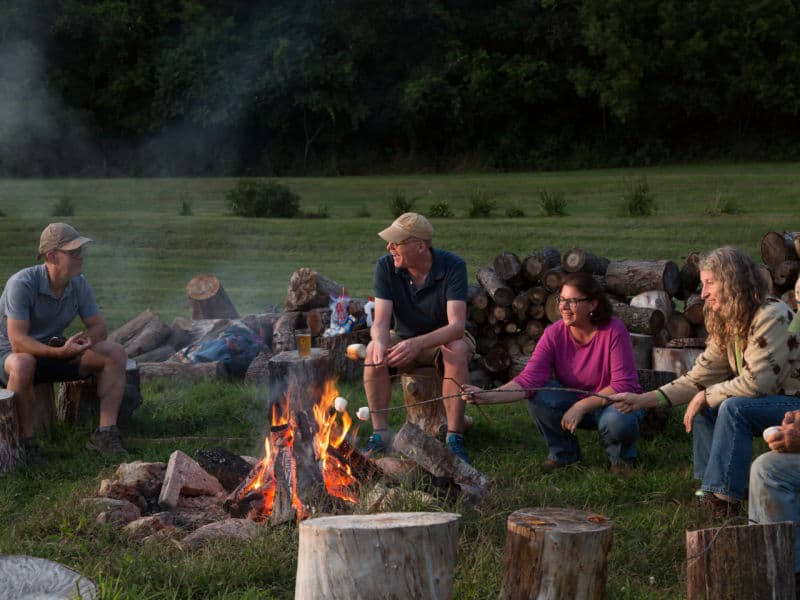 A group of smiling people sit on log stumps while roasting marshmallows around a small bonfire.