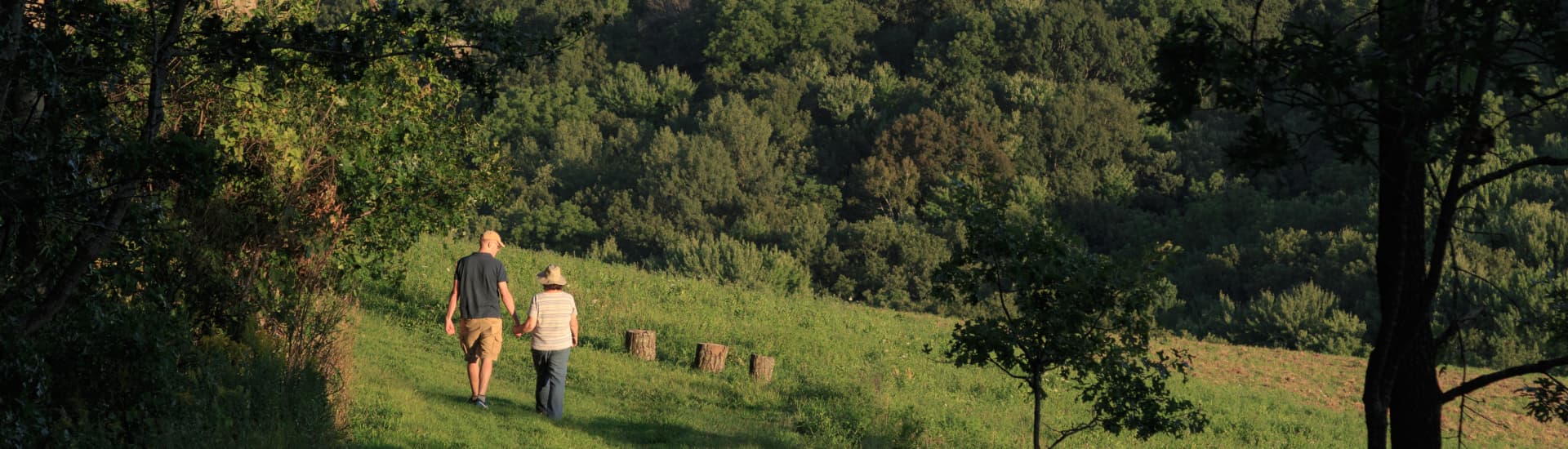 A couple walking hand in hand through lush green trails.