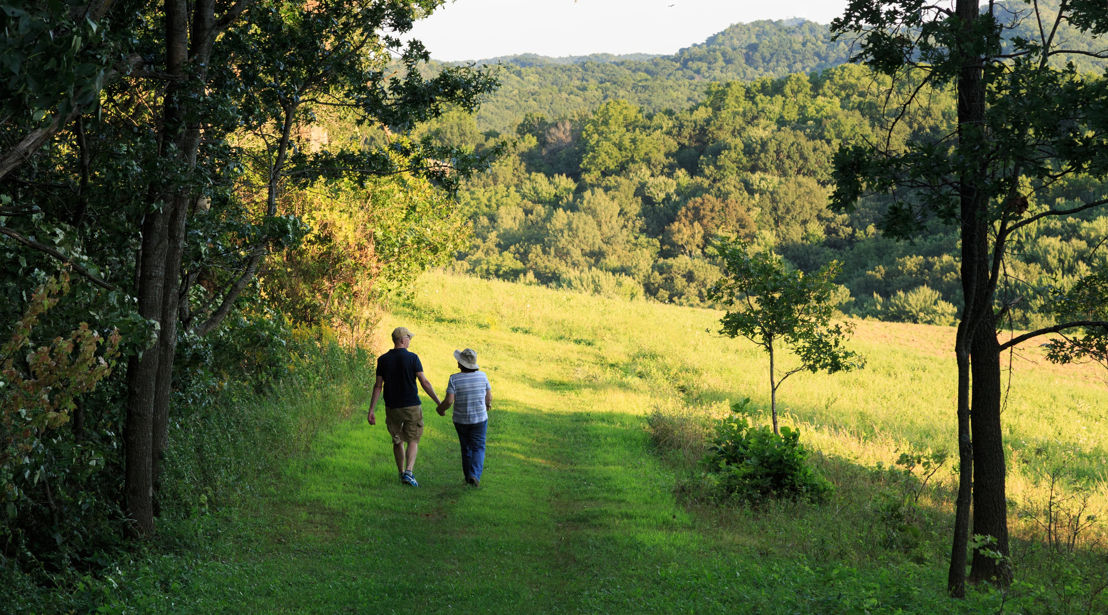 A couple holding hands while walking on grassy trail along a tree line leading to open field and tree covered hills beyond.