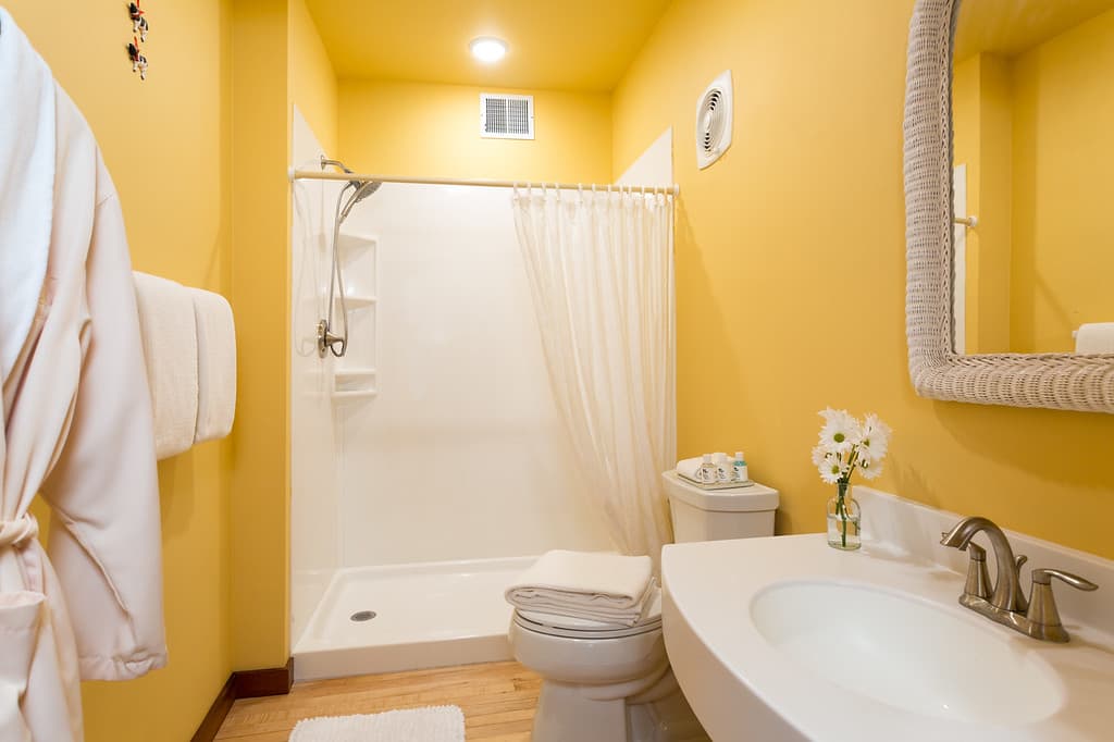 Private bathroom includes a 36" x 5 feet shower, accessible vanity and tall format toilet.
