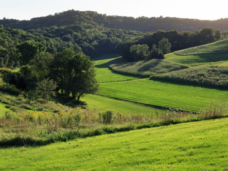 200 very hilly acres display many lovely shades of green with open meadows, fields, trees and hills.