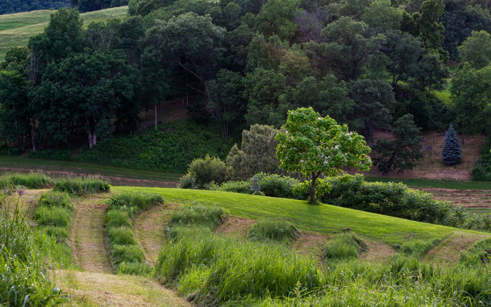 Basket #1 on the Classic Disc Golf Course.