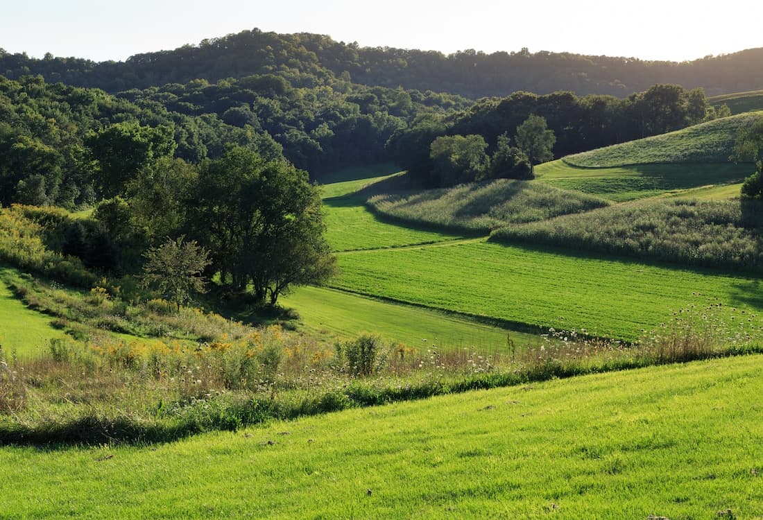 Lush green hills and fields under a clear sky with dense trees in the background.