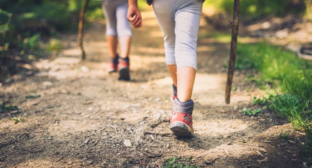 Two people walking on a dirt trail, holding sticks.