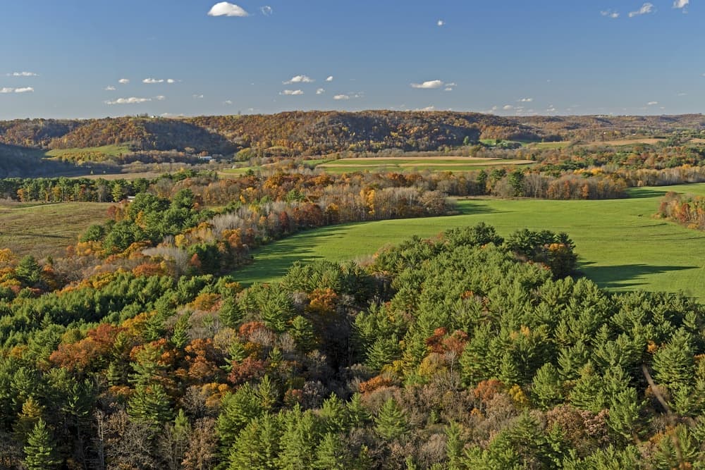 A scenic landscape featuring rolling hills and a mix of green and autumn-colored trees under a clear blue sky.