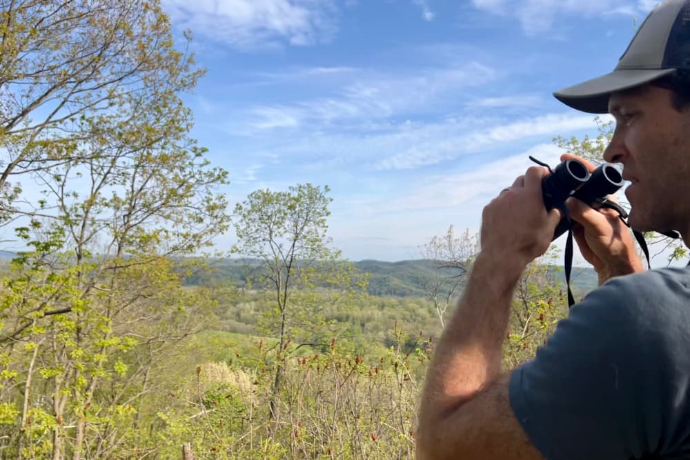 A man with binoculars birdwatching