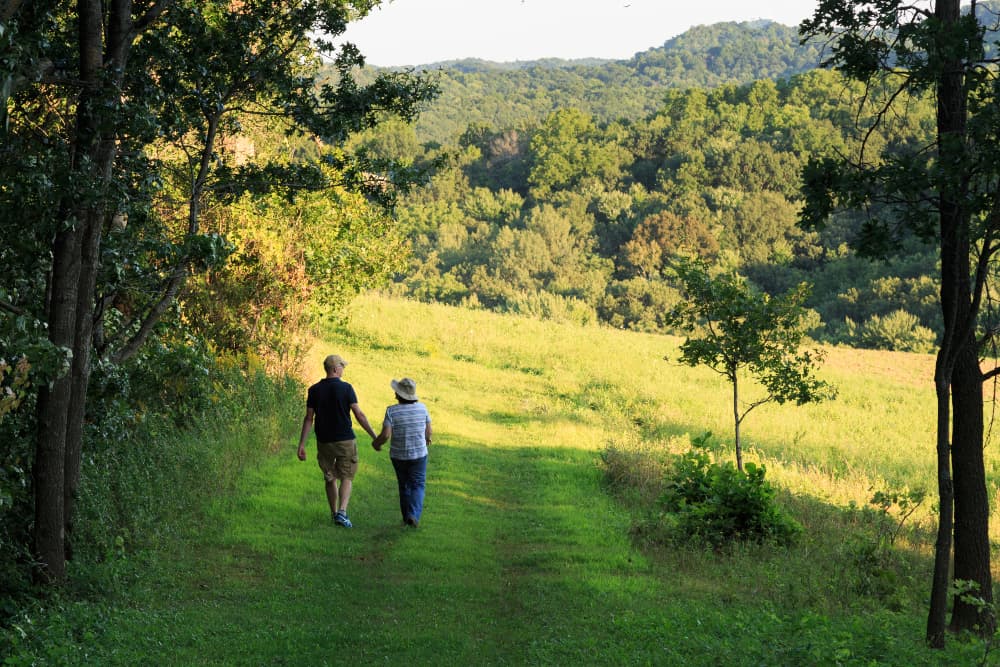 Two people holding hands walking on trail through tall trees into a green meadow