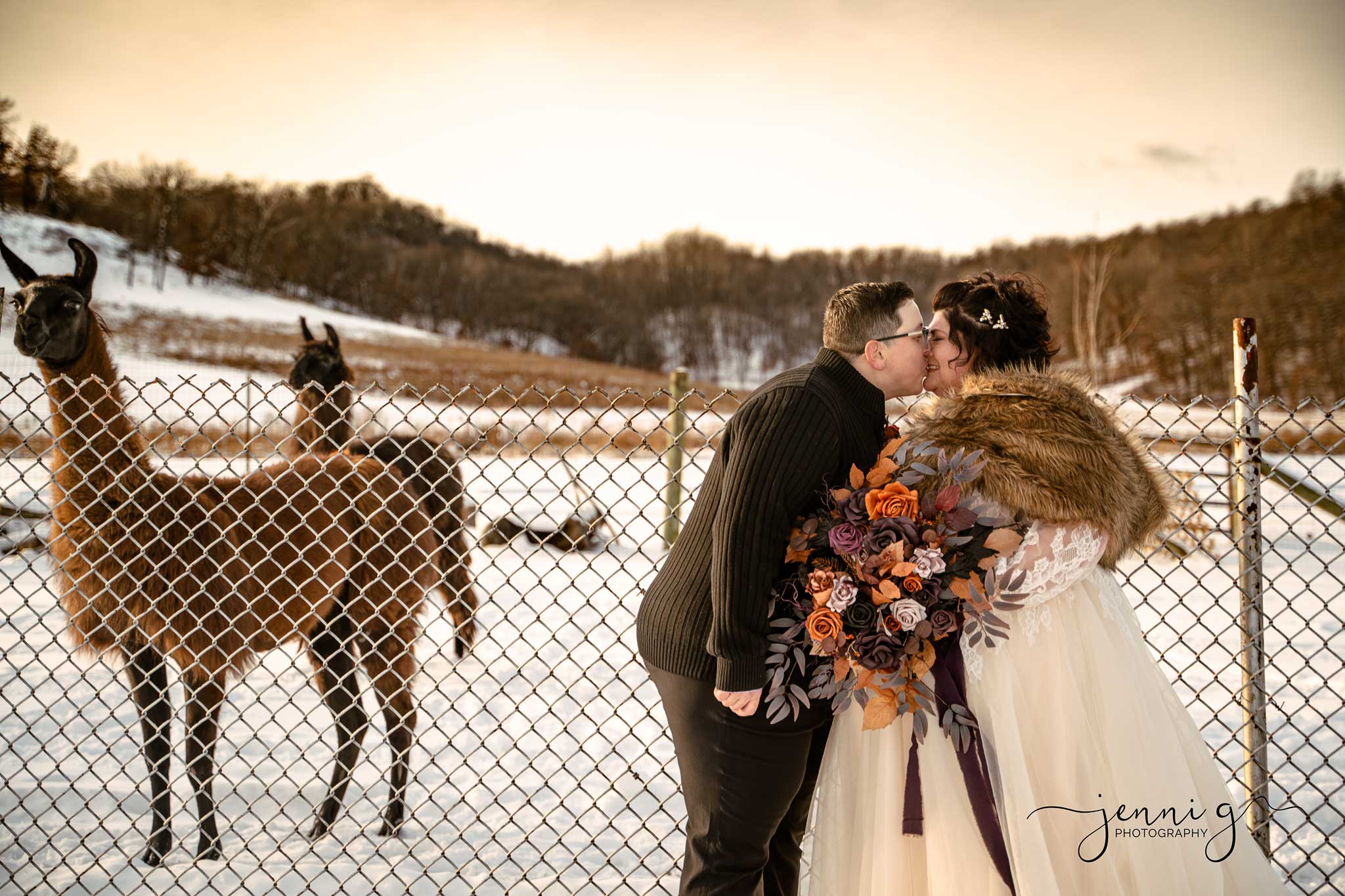 A couple kisses in a snowy landscape while llamas stand nearby.