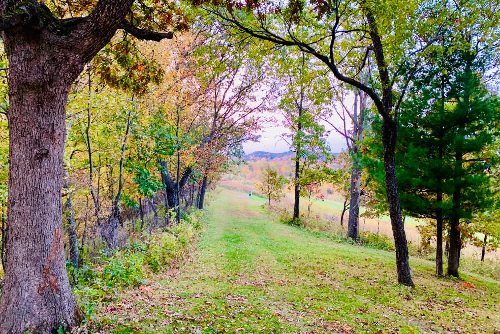A wide, green grassy trails through trees, farmlands, and woods