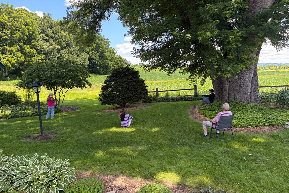 Four people are sitting or standing in a grassy area surrounded by trees and fields.