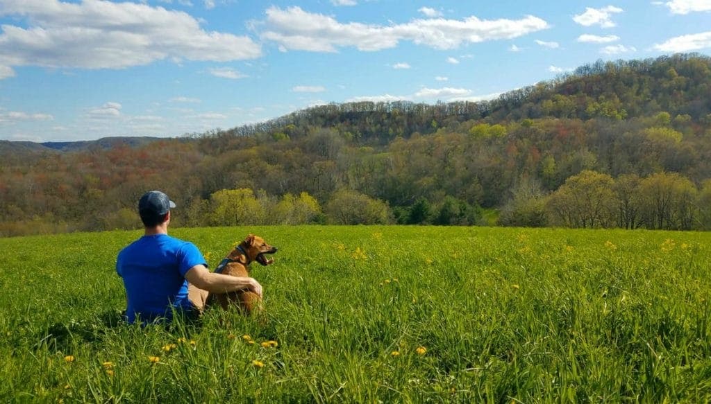 A person sits in a grassy field with a dog, overlooking rolling hills and a blue sky.