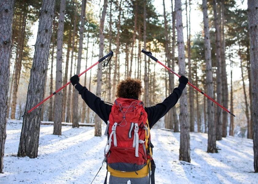 A person with a backpack raises trekking poles in a snowy forest.