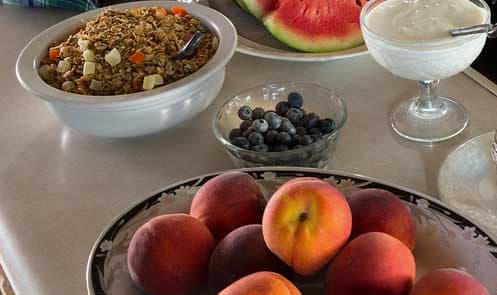 Several bowls of granola, yogurt, blueberries, and whole fresh peaches