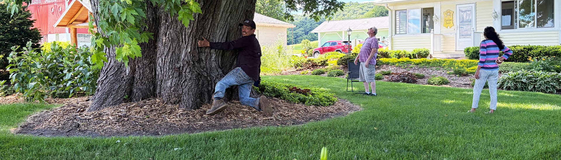 Three people interacting with a large tree in a well-maintained garden.