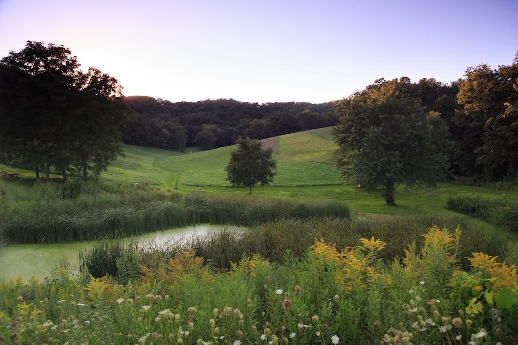 A tranquil landscape featuring a pond surrounded by lush greenery and rolling hills at sunset.