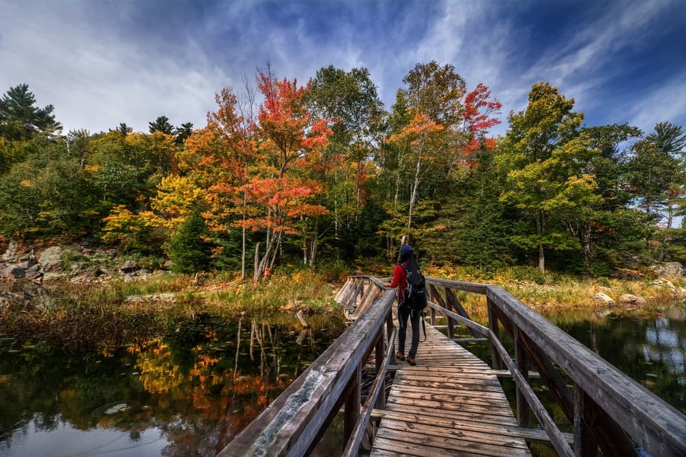 A person walks along a wooden bridge surrounded by colorful autumn foliage and a serene pond.
