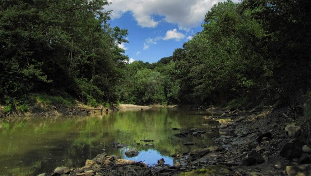 A tranquil river meanders through lush green trees under a partly cloudy sky.