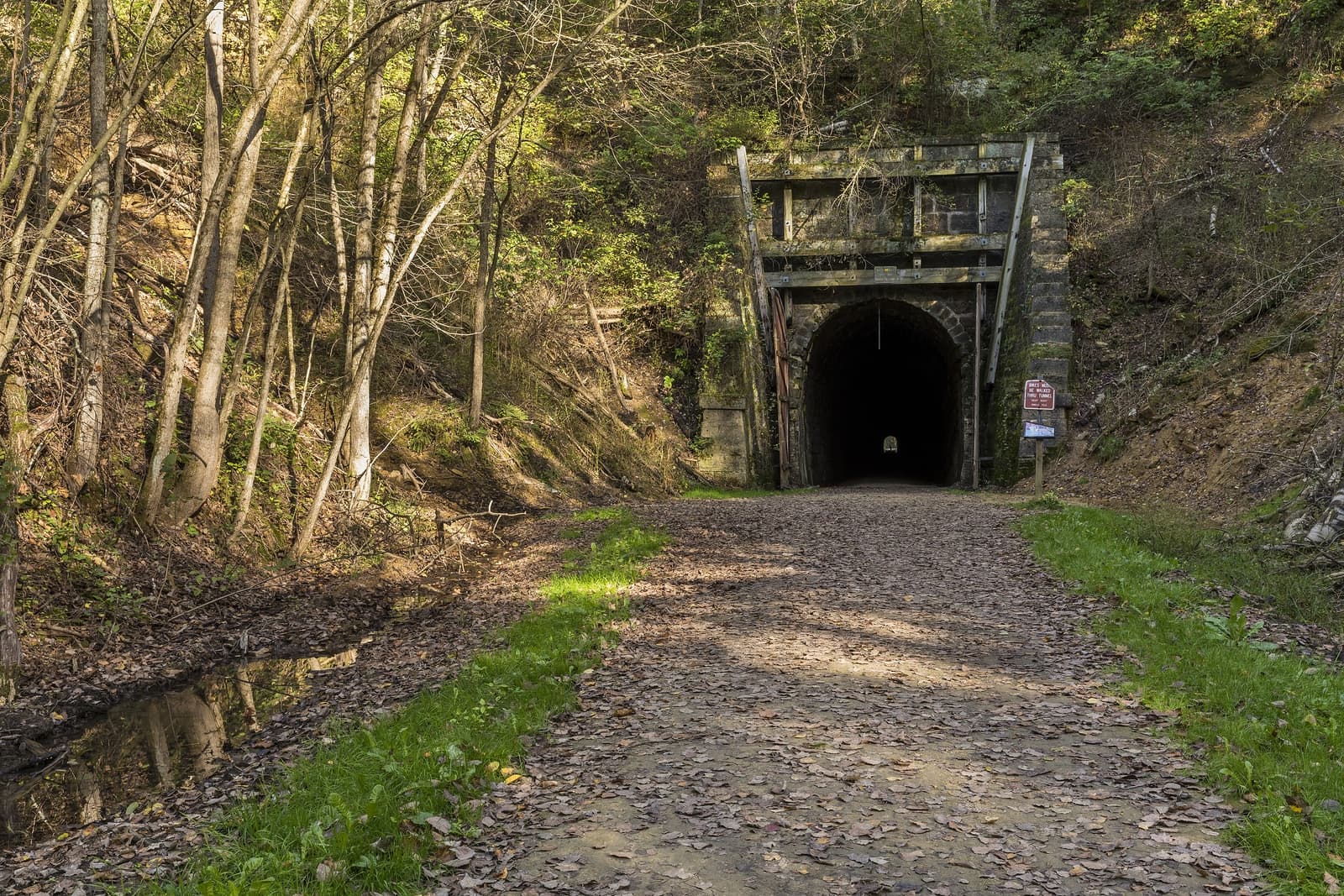 A gravel path leads to a dark tunnel entrance, surrounded by trees and foliage.
