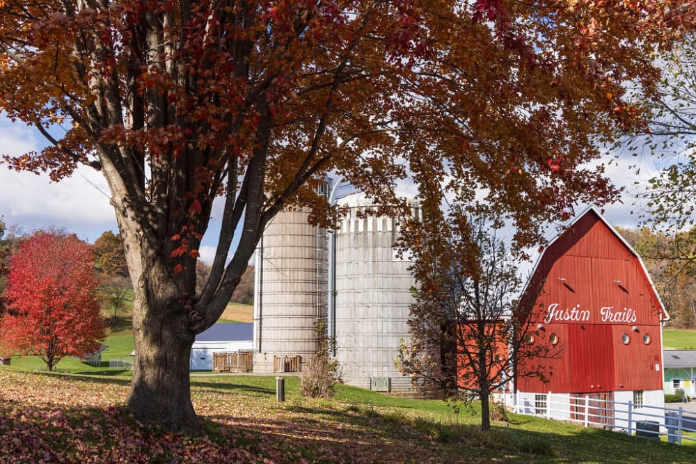 A red barn and silos stand amid autumn foliage on a rural farm.