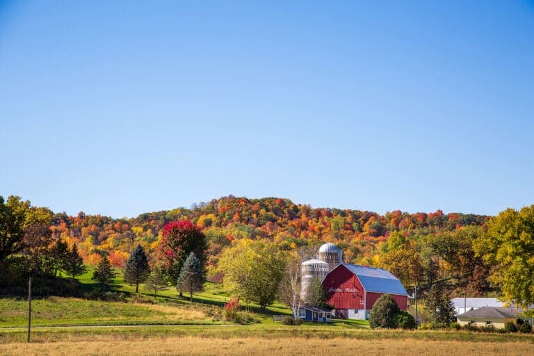 A red barn surrounded by vibrant autumn foliage on a hillside.