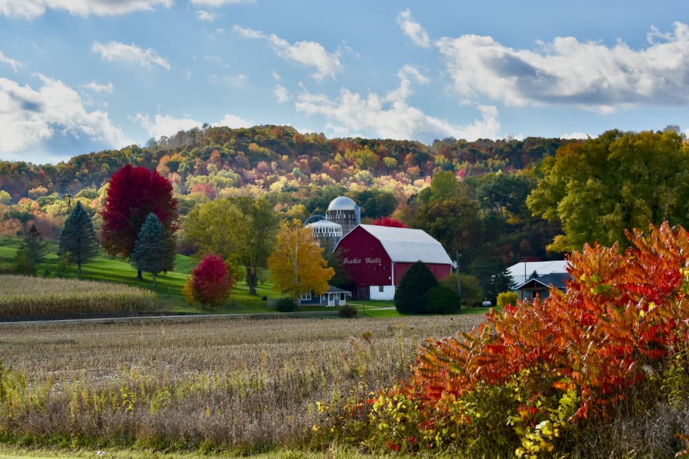 A distant photo of an expansive farm with a large red barn that says Justin Trails above the main door, with fall foliage of reds, oranges, yellows, and brown on the trees in the woodland at the far end of the farm.