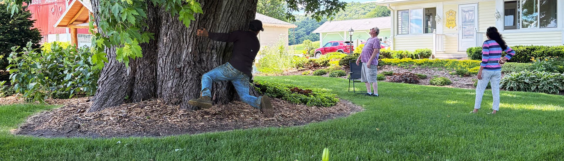 Three people interact in a garden near a large tree and a house.