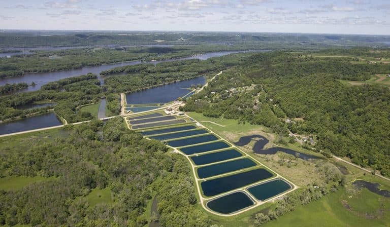 Aerial view of a series of rectangular water storage ponds surrounded by lush green landscapes and winding rivers.