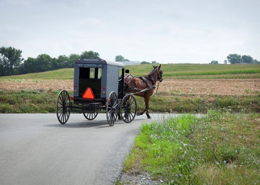 A black Amish buggy with an orange caution triangle on the back turning onto a country road.