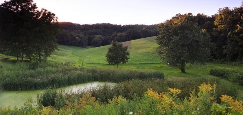 Pond, native grasses, rolling fields, and wooded hills at Justin Trails in the Wisconsin Driftless Region.