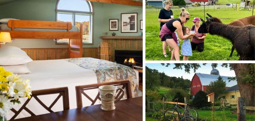 Collage of The Cottage room, guests feeding llamas, and the elegant barn at dusk at Justin Trails Resort.