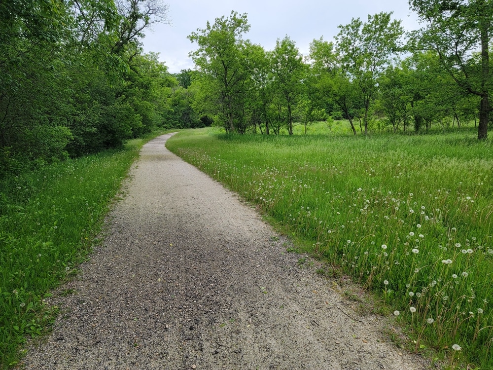 Elroy-Sparta Trail, photo of the path along a bike trail in Wisconsin