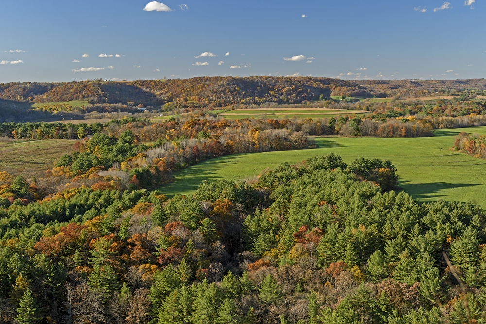 Wildcat Mountain State Park is a fantastic place to explore during the fall near our Wisconsin cabins